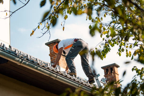 Best New Roof Installation  in Washington, NC